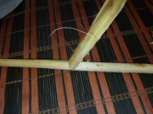 'u'u ka i'o o loko, strip the inner bark